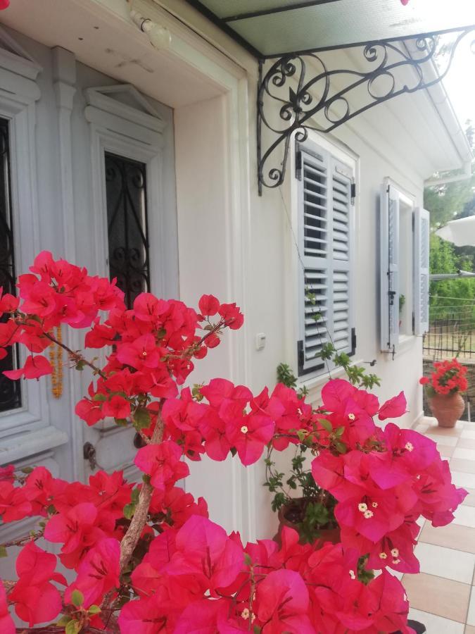La Casa Di Caterina: Nature,Relax And Private Garden Lefkáda المظهر الخارجي الصورة