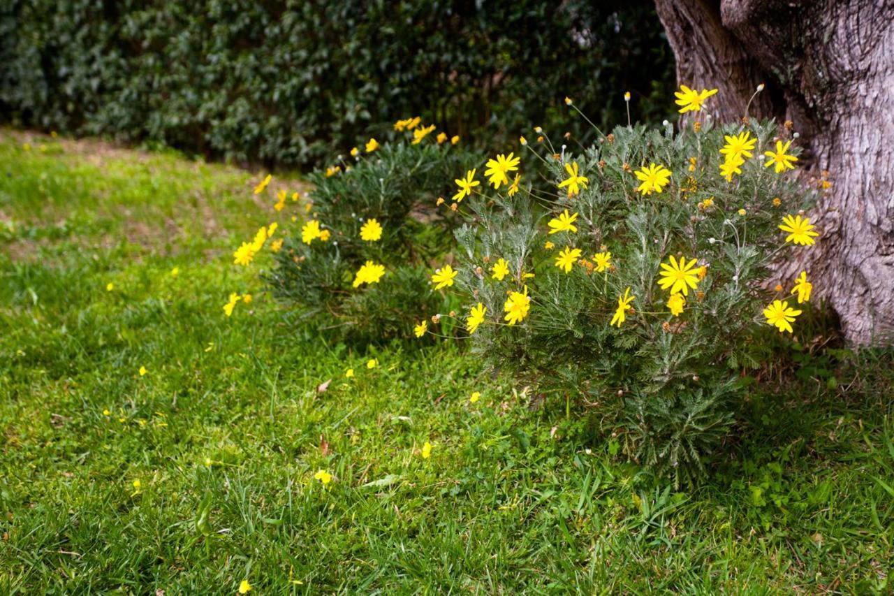 La Casa Di Caterina: Nature,Relax And Private Garden Lefkáda المظهر الخارجي الصورة